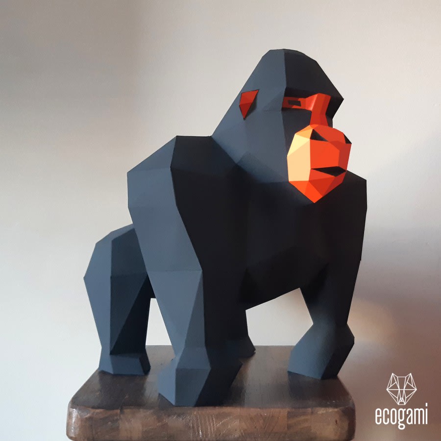 Gor, the gorilla
