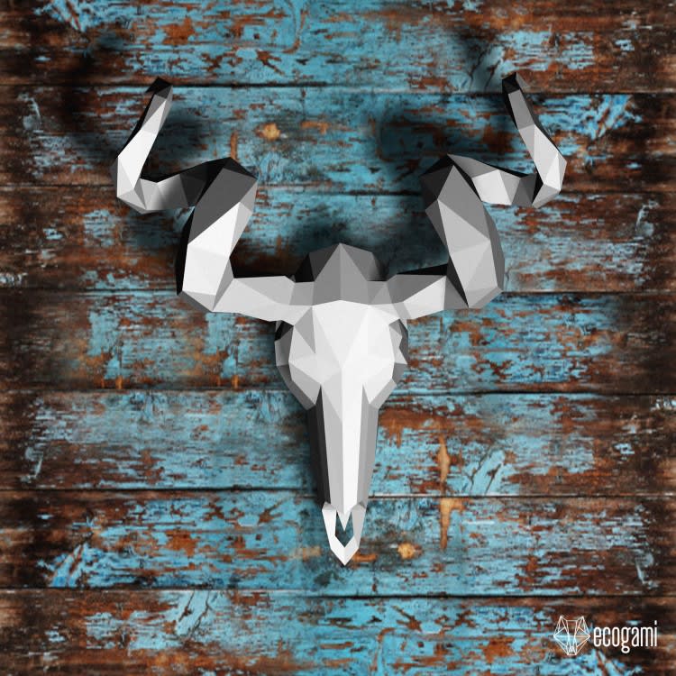 Antelope skull